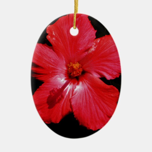 Hot Pink Red Hibiscus flower on Black Ceramic Ornament (Front)