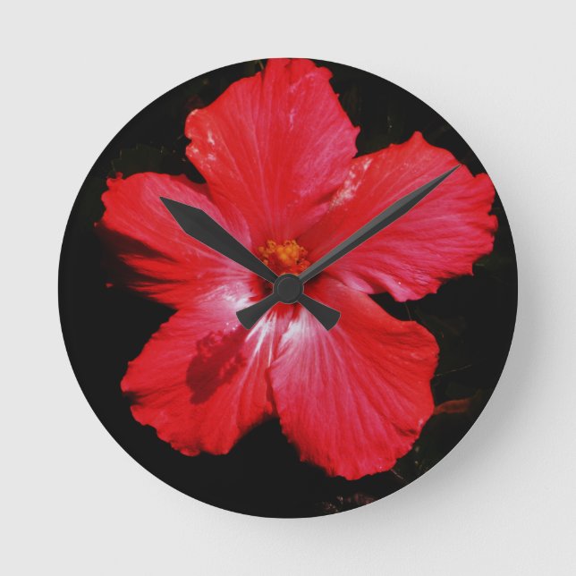 Hot Pink Red Hibiscus flower on Black Round Clock (Front)