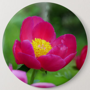 Hot Pink Rose 6 Cm Round Badge