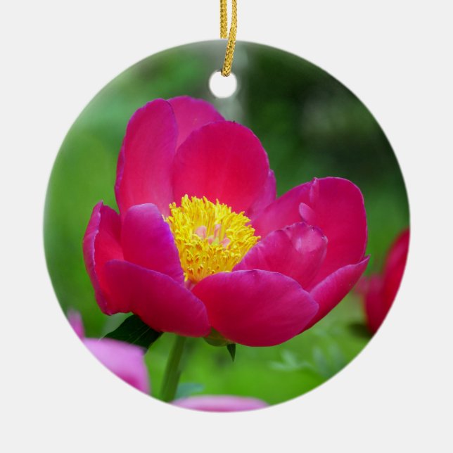 Hot Pink Rose Ceramic Ornament (Front)