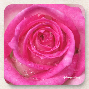 Hot Pink Rose Coasters