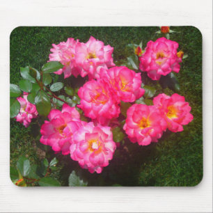 Hot Pink Rose Mousepad