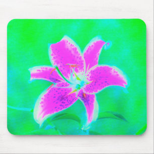 Hot Pink Stargazer Lily on Turquoise and Green Mouse Pad