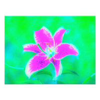 Hot Pink Stargazer Lily on Turquoise and Green