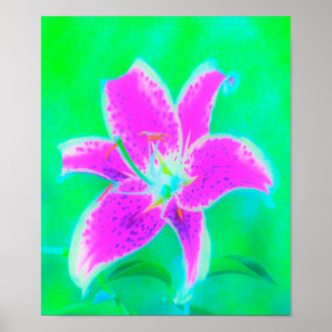 Hot Pink Stargazer Lily on Turquoise and Green Poster