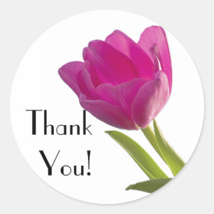 Hot Pink Tulip, Thank You! Classic Round Sticker