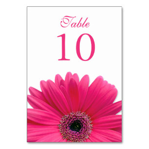 Hot Pink White Gerbera Daisy Wedding Table Number