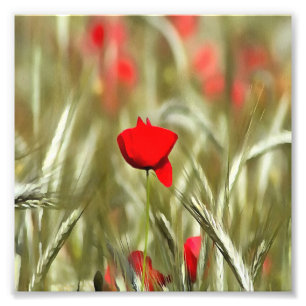 Hot Poppy Acrylic Painting Photo Print
