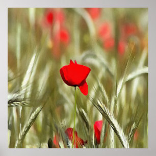Hot Poppy Acrylic Painting Poster