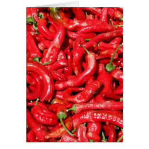 Hot Red Chilli Peppers Outdoors in the Summer Sun