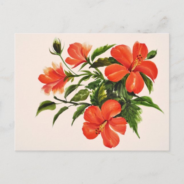 Hot Red Hibiscus Postcard (Front)