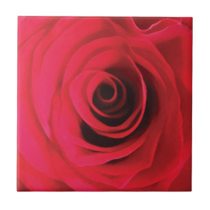 Hot red watercolor rose bud detail ceramic tile