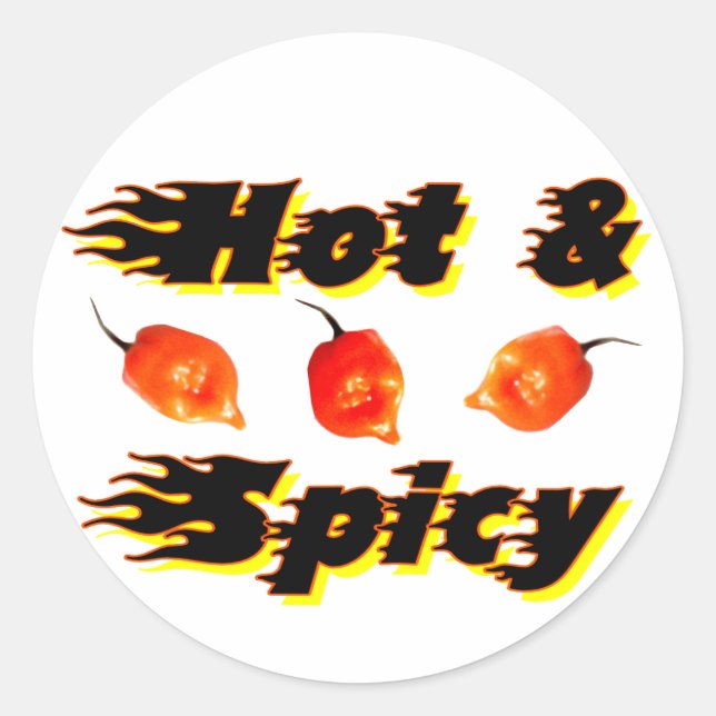 Hot & Spicy /5 Classic Round Sticker (Front)