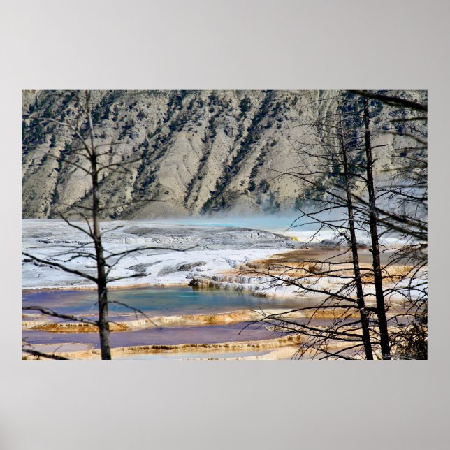 Hot Spring Nature Poster (Front)