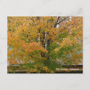 Hot Springs, AR Autumn Leaves Postcard