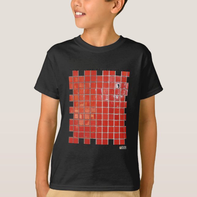 Hot Springs, AR Red Tiles Central Ave Gifts T-Shirt (Front)