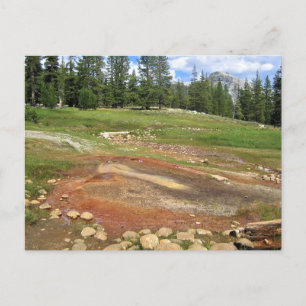 Hot Springs in Tuolumne Meadows, Yosemite, CA Postcard