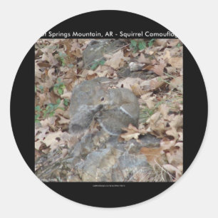 Hot Springs Mountain, AR Squirrel Camouflage Gifts Classic Round Sticker