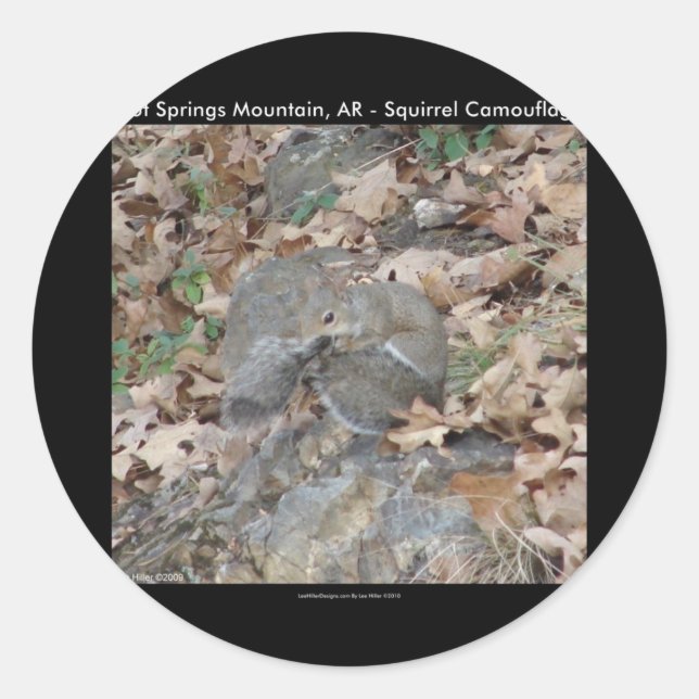 Hot Springs Mountain, AR Squirrel Camouflage Gifts Classic Round Sticker (Front)