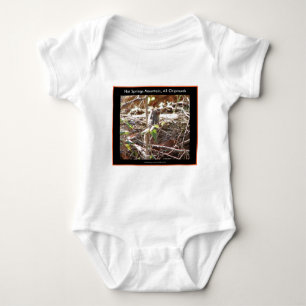 Hot Springs Mountain, Arkansas Chipmunk Gifts Baby Bodysuit