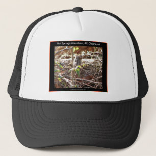 Hot Springs Mountain, Arkansas Chipmunk Gifts Trucker Hat