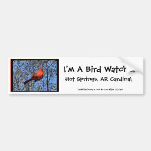 Hot Springs Mountain Promenade  Cardinal Gifts Bumper Sticker