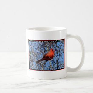 Hot Springs Mountain Promenade  Cardinal Gifts Coffee Mug