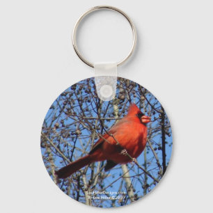 Hot Springs Mountain Promenade  Cardinal Gifts Key Ring