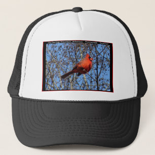 Hot Springs Mountain Promenade  Cardinal Gifts Trucker Hat