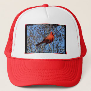 Hot Springs Mountain Promenade Cardinal Gifts Trucker Hat
