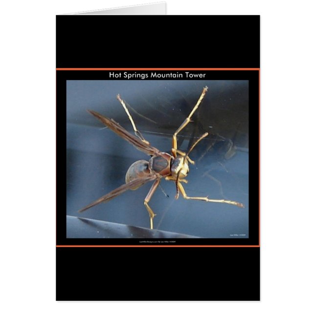 Hot Springs Mountain Wasp Gift & Aparel (Front)