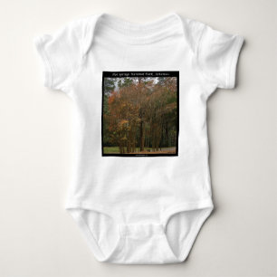 Hot Springs National Park, AR Above the Promenade Baby Bodysuit