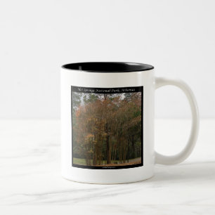 Hot Springs National Park, AR Above the Promenade Two-Tone Coffee Mug