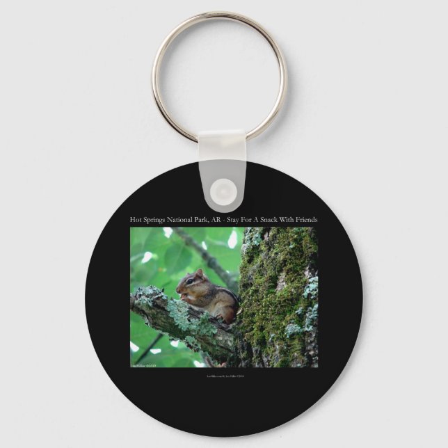 Hot Springs National Park, AR Chipmunk Snack Gifts Key Ring (Front)