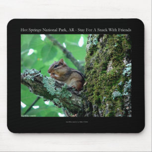 Hot Springs National Park, AR Chipmunk Snack Gifts Mouse Pad