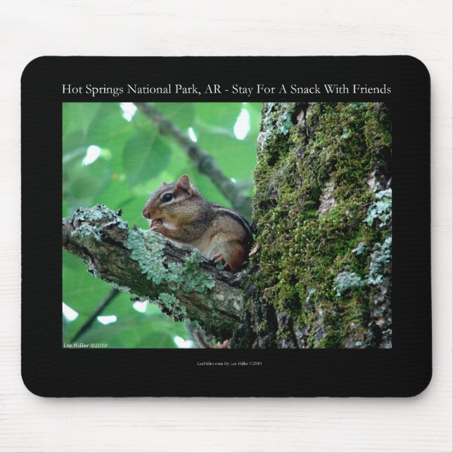Hot Springs National Park, AR Chipmunk Snack Gifts Mouse Pad (Front)