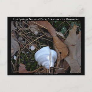 Hot Springs National Park, AR - Ice Ornament Gifts Postcard