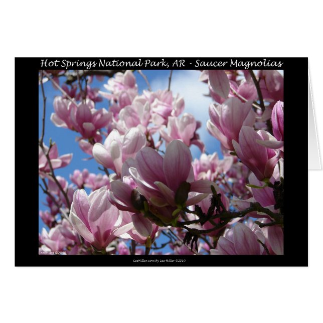 Hot Springs National Park AR Saucer Magnoia Gifts (Front Horizontal)