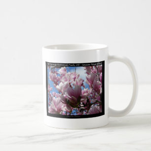 Hot Springs National Park AR Saucer Magnoia Gifts Coffee Mug