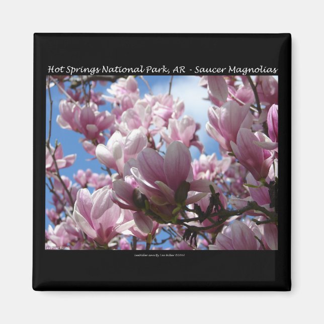 Hot Springs National Park AR Saucer Magnoia Gifts Magnet (Front)