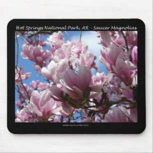 Hot Springs National Park AR Saucer Magnoia Gifts Mouse Pad