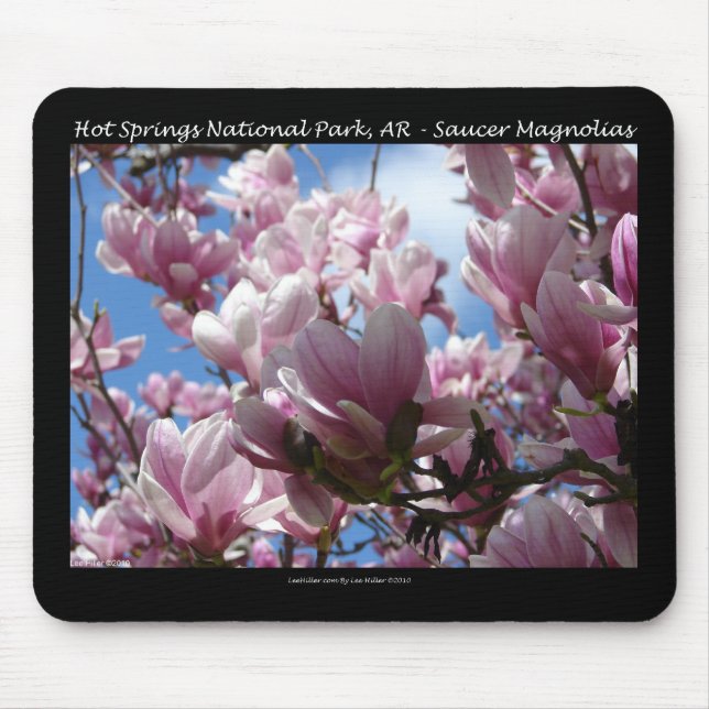 Hot Springs National Park AR Saucer Magnoia Gifts Mouse Pad (Front)