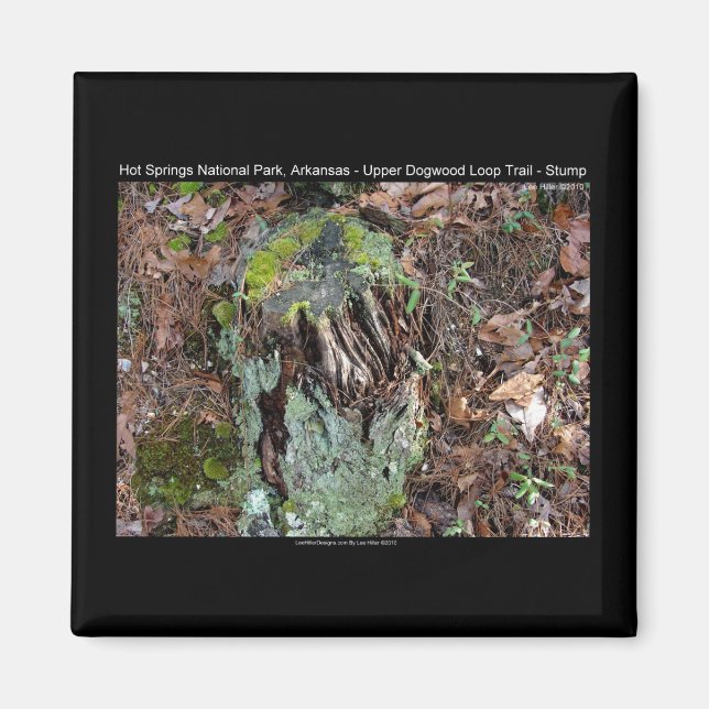 Hot Springs National Park, AR Upper Dogwood Loop Magnet (Front)