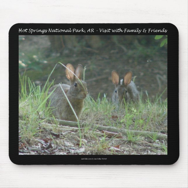 Hot Springs National Park, AR  Wild Rabbits Gifts Mouse Pad (Front)