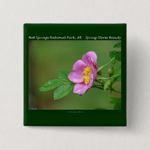 Hot Springs National Park, AR Wild Rose Gifts 15 Cm Square Badge