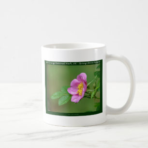 Hot Springs National Park, AR  Wild Rose Gifts Coffee Mug