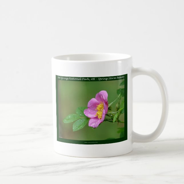 Hot Springs National Park, AR  Wild Rose Gifts Coffee Mug (Right)
