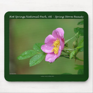 Hot Springs National Park, AR  Wild Rose Gifts Mouse Pad
