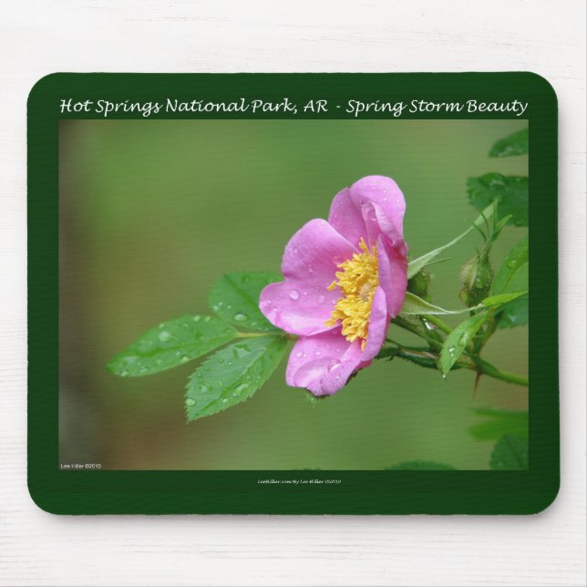 Hot Springs National Park, AR  Wild Rose Gifts Mouse Pad (Front)