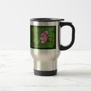 Hot Springs National Park, AR  Wild Rose Gifts Travel Mug
